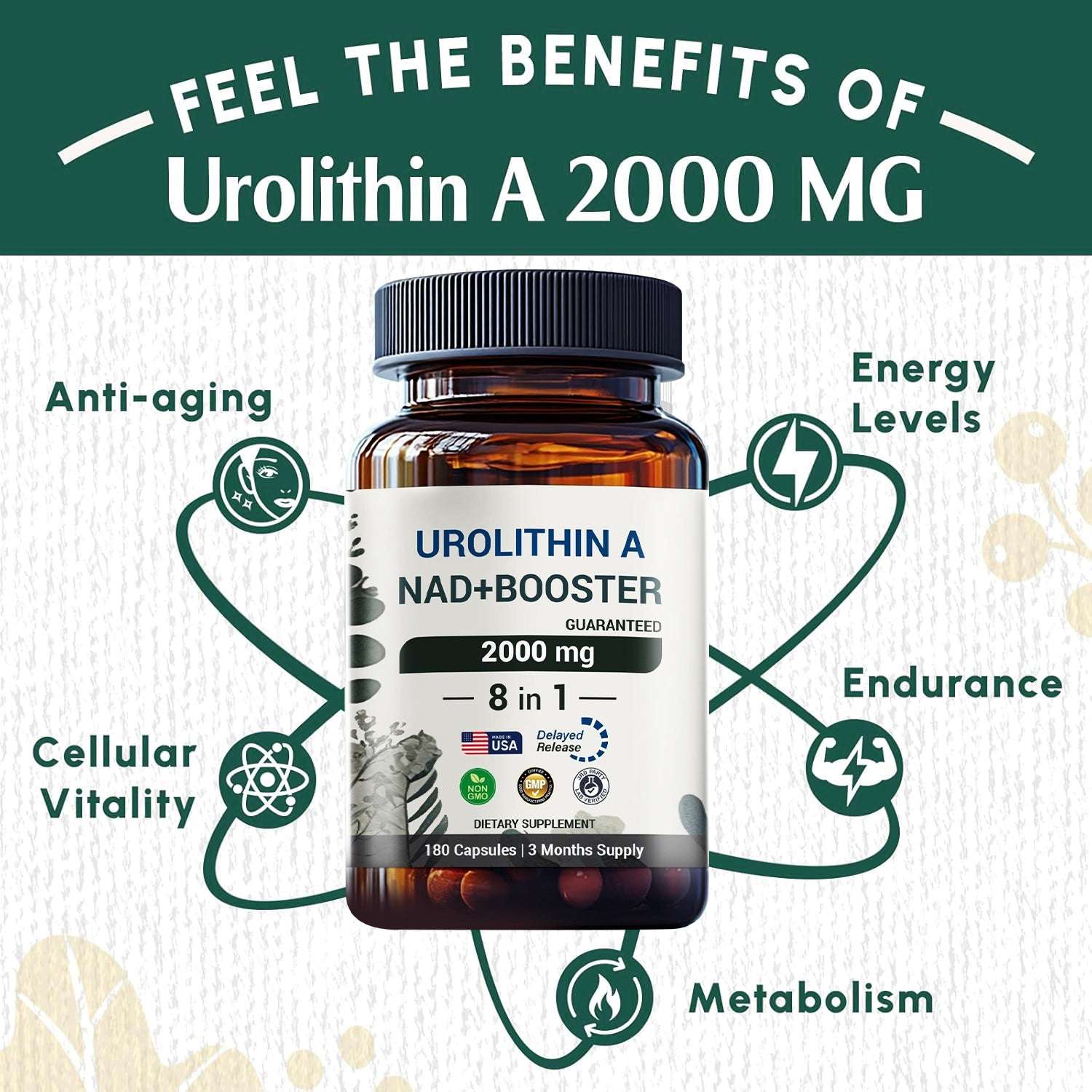 Urolithin A supplement 2000mg - with NAD+ Booster - Energy & Longevity - 180 capsules - Panstellar Shop