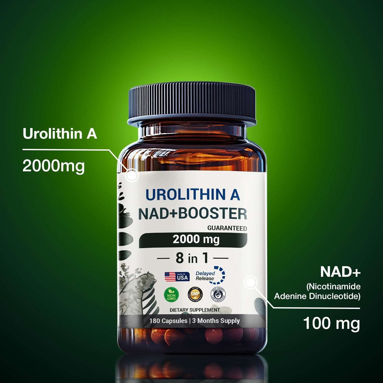 Urolithin A supplement 2000mg - with NAD+ Booster - Energy & Longevity - 180 capsules - Panstellar Shop