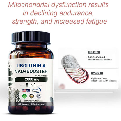 Urolithin A supplement 2000mg - with NAD+ Booster - Energy & Longevity - 180 capsules - Panstellar Shop